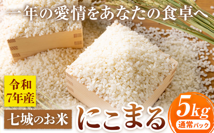 七城のお米 にこまる 5kg 通常パッケージ 白米 精米 令和7年産 堀田農場《30日以内に出荷予定(土日祝除く)》お米 熊本県 菊池市 熊本県産 九州産 送料無料