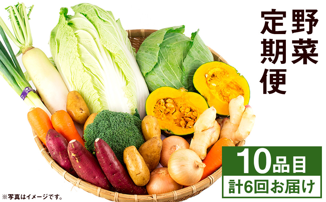 【定期便年6回】旬の野菜 10品 野菜 やさい 詰合せ 詰め合わせ セット 定期便 【養生市場】