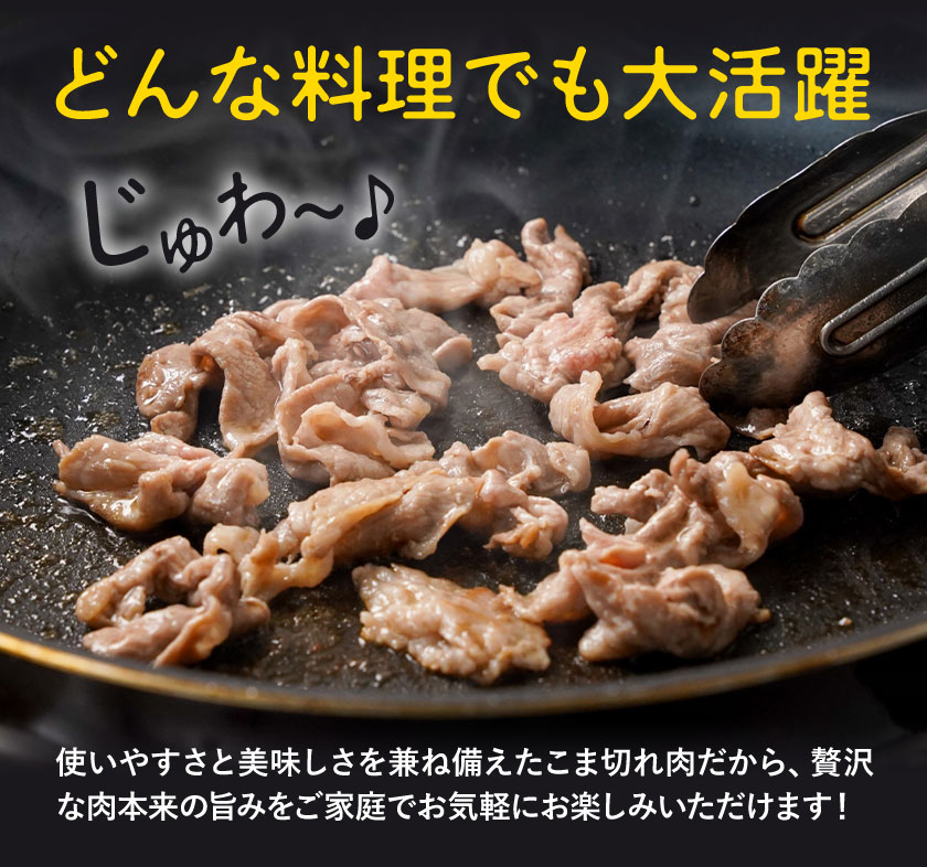 【6ヶ月定期便】熊本県産 豚肉 モモスライス ウデ こま切れ セット 合計 約18kg 約3kg×6回 植田商事有限会社 《お申し込み月の翌月から出荷開始》 熊本県 菊池市 モモ ウデ 詰め合わせ 豚 お肉 肉 国産 九州産 冷凍 送料無料