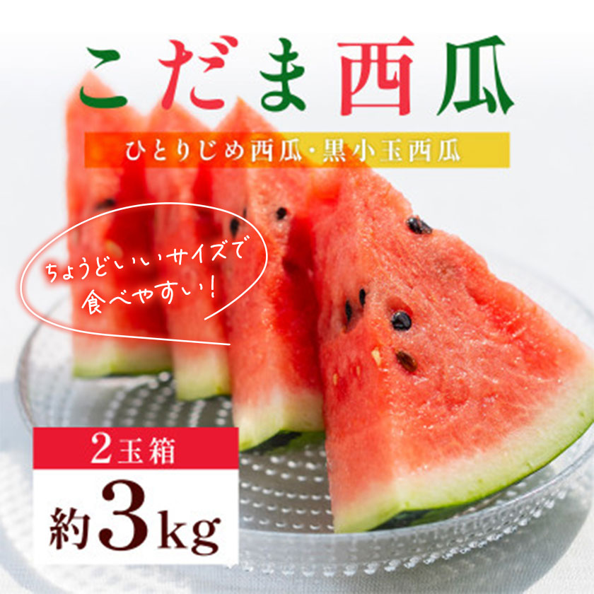 小玉スイカ 3L以上 2玉 計約3kg 株式会社エフビーネット《5月上旬-7月中旬頃出荷》熊本県 菊池市 小玉すいか すいか スイカ 西瓜 果物 フルーツ
