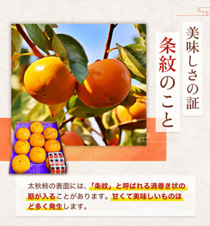 太秋柿 柿 約2kg 株式会社エフビーネット《10月上旬-11月上旬頃出荷》熊本県 菊池市 柿 かき たいしゅうがき 果物 フルーツ 秋の味覚 旬 デザート