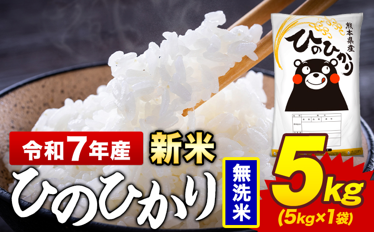 新米 令和7年産 無洗米 米 ひのひかり 5kg《7-14日以内に出荷予定(土日祝除く)》熊本県 菊池市 国産 熊本県産 精米 無洗米 送料無料 ヒノヒカリ こめ お米