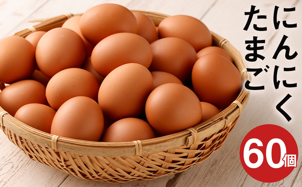 にんにくたまご 60個 卵 にんにく卵 鶏卵 熊本県産 九州産 冷蔵 送料無料