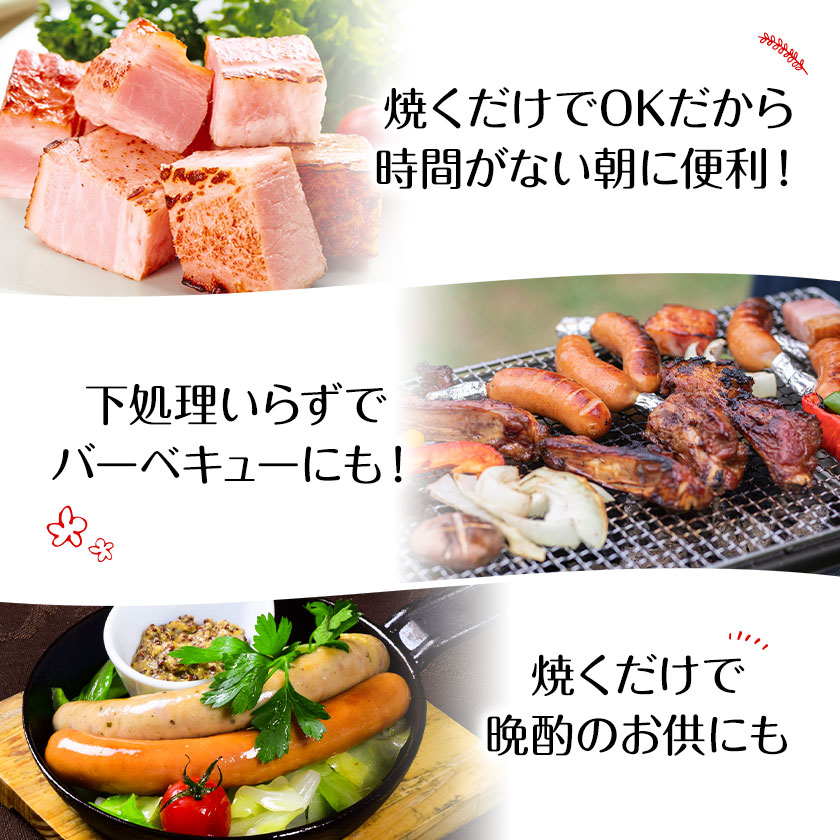 ハム工房TONGTONG ハム・ウインナーギフトセット 合計1010g 5種類 約1kg 食べ比べ 豚肉 セット ベーコン ハム ウインナー ソーセージ 金TONG 九州産 国産 熊本県産 冷凍 ギフト 贈りもの 送料無料《90日以内に出荷予定(土日祝除く)》
