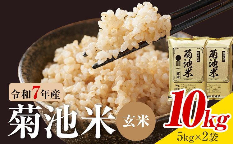 令和7年産 熊本県産 菊池米 玄米 10kg 1袋5kg 株式会社くまもとごはん 《30日以内に出荷予定(土日祝除く)》米 お米 令和7年産 九州産 熊本県産  送料無料
