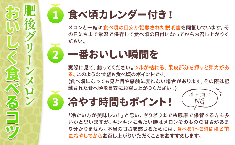 肥後グリーン メロン 2玉 約3.2kg 七城町特産品センター《5月中旬-6月末頃出荷》熊本県 菊池市 メロン 果物 フルーツ 九州産 熊本県産 めろん グリーンメロン