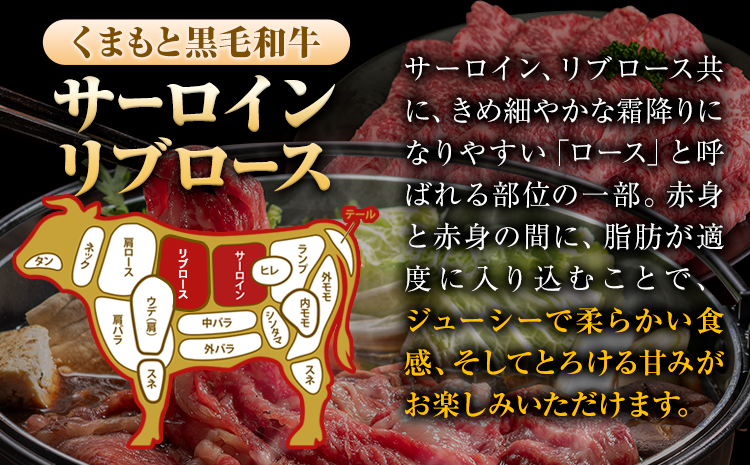 くまもと黒毛和牛 サーロイン リブロース ローススライス 600g 牛肉 冷凍 《30日以内に出荷予定(土日祝除く)》くまもと黒毛和牛 黒毛和牛 スライス 肉 お肉 しゃぶしゃぶ肉 すきやき肉 すき焼き　菊池市