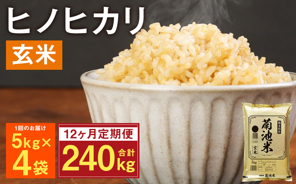 【定期便12ヶ月】熊本県菊池産 ヒノヒカリ 玄米 計240kg（5kg×4袋×12回）米 お米 残留農薬ゼロ 低温貯蔵