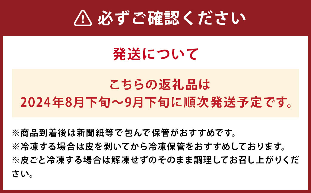 菊池市産 生栗 2000g (栽培期間中農薬不使用)【2024年8月下旬より順次発送開始】