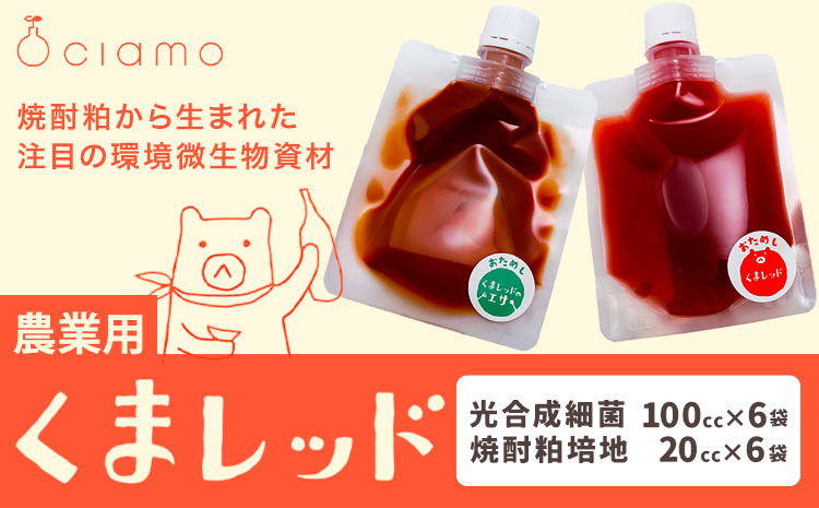 光合成細菌くまレッド 農業用 2L培養キット×6セット 株式会社Ciamo 《90日以内に出荷予定(土日祝除く)》熊本県 菊池市 ガーデニング 農業用 観葉植物 家庭菜園