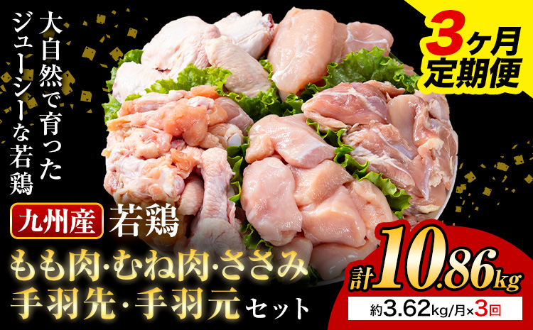 【3ヶ月定期便】 九州産若鶏もも肉 むね肉 ささみ 手羽先 手羽元 セット 計3.62kg 鶏肉 お肉 モモ肉 ムネ肉 5種類 詰め合わせ 小分け 冷凍 九州産 国産 熊本県 菊池市 送料無料《お申込み翌月から出荷》