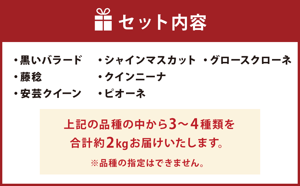 【8月上旬発送開始】なにが届くかお楽しみ 品種おまかせ ぶどう 約2kg 葡萄 マスカット フルーツ