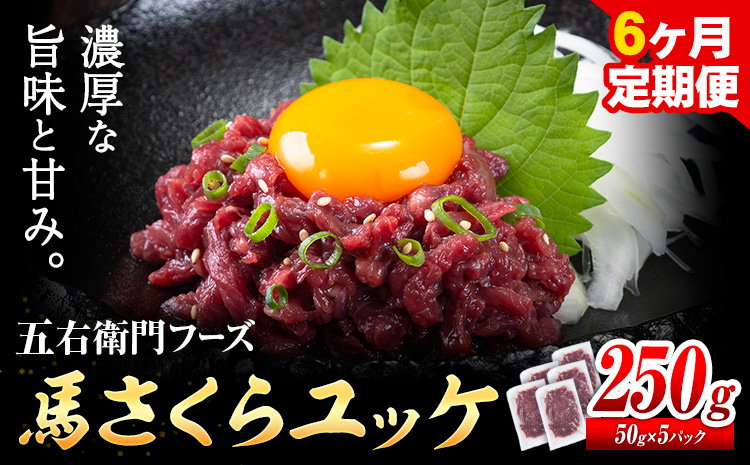 【6ヶ月定期便】馬肉 馬さくらユッケ 250g×6回 合計1.5kg 五右衛門フーズ 《お申込み翌月から出荷》 熊本県 菊池市 馬肉 肉 国産 馬 さくら ユッケ 小分け