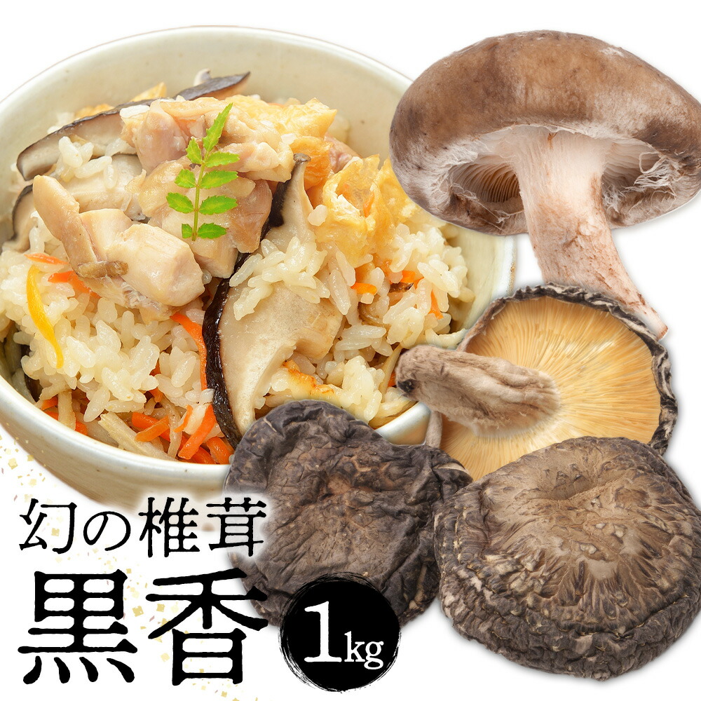 しいたけ 幻の椎茸 黒香 1kg 有限会社きくち観光物産館 《90日以内に出荷予定(土日祝除く)》熊本県 菊池市 希少品種 乾燥椎茸 小粒 ジャミ バレ しいたけ きのこ ご家庭用 規格外品 訳あり 送料無料