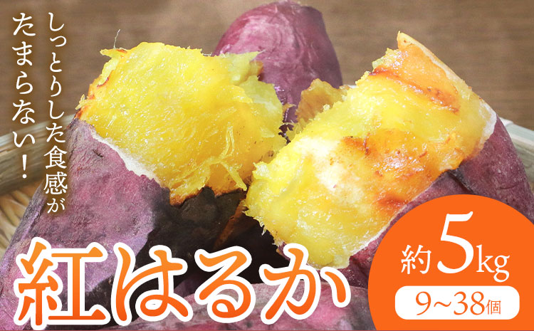 さつまいも 紅はるか 約5kg(9-38個) 株式会社GGYパッケージ《2025年11月下旬-2026年4月上旬頃出荷》熊本県 菊池市 さつまいも 紅はるか 芋 いも 野菜 国産 焼き芋 スイートポテト 芋ようかん 大学芋 干し芋 しっとり 旬 送料無料