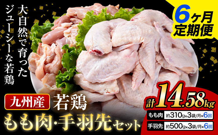 【6ヶ月定期便】 九州産 若鶏もも肉（310g×3袋）・手羽先セット（500g×3袋） 計2.43kg  鶏肉 肉 鶏 手羽 唐揚げ 詰め合わせ セット 冷凍 九州 国産 熊本県 菊池市 送料無料《お申込み翌月から出荷》