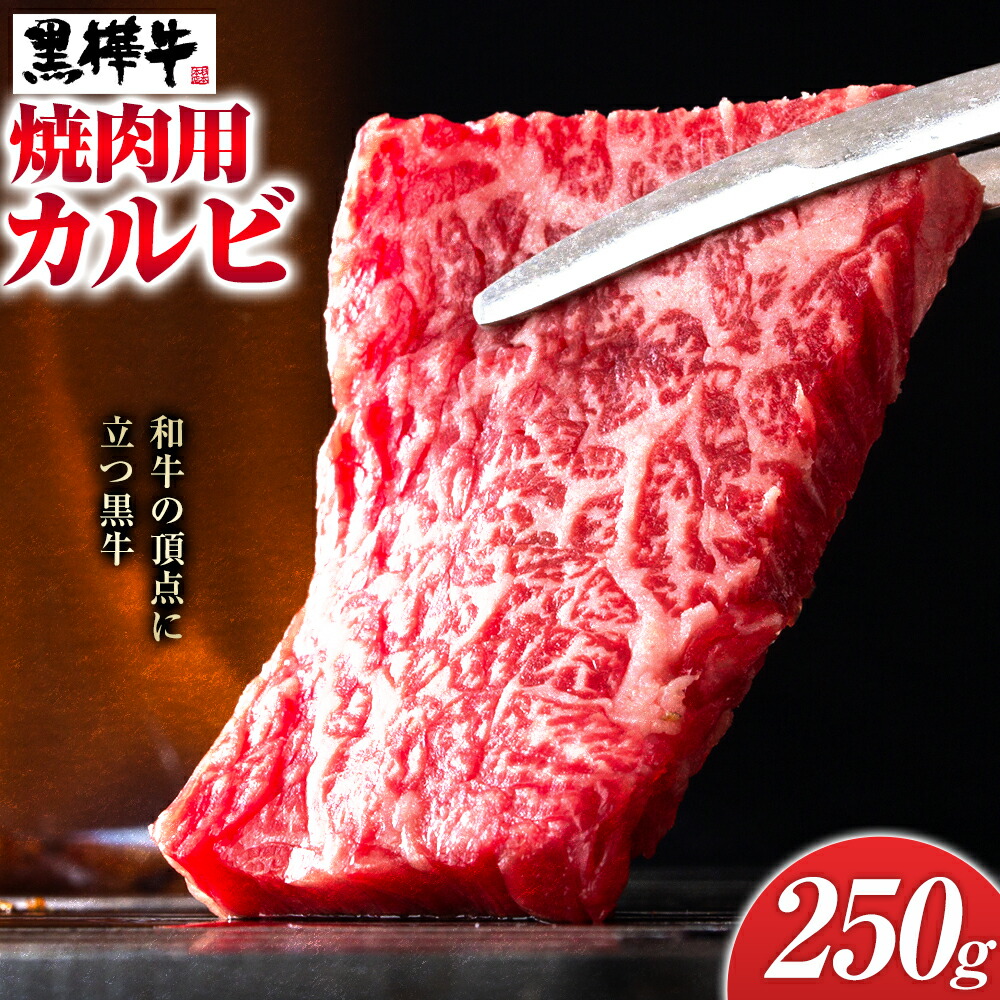くまもと黒毛和牛 黒樺牛 A4〜A5等級 焼肉用カルビ 250g 株式会社杉本本店 《90日以内に出荷(土日祝除く)》熊本県 菊池市 牛肉 牛 霜降り 赤身 お肉 焼き肉 BBQ 黒毛和牛 国産 九州産 熊本県産 冷凍 送料無料