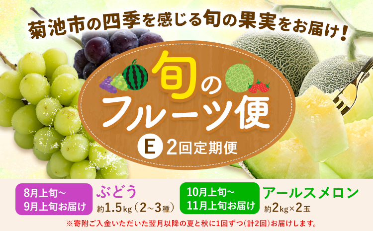【2回定期便】旬のフルーツ便【養生市場】 定期便 ぶどう詰め合わせ約1.5kg メロン約2kg×2玉 2回発送 《季節ごとに出荷予定》 果物 フルーツ 九州産 熊本県産 送料無料