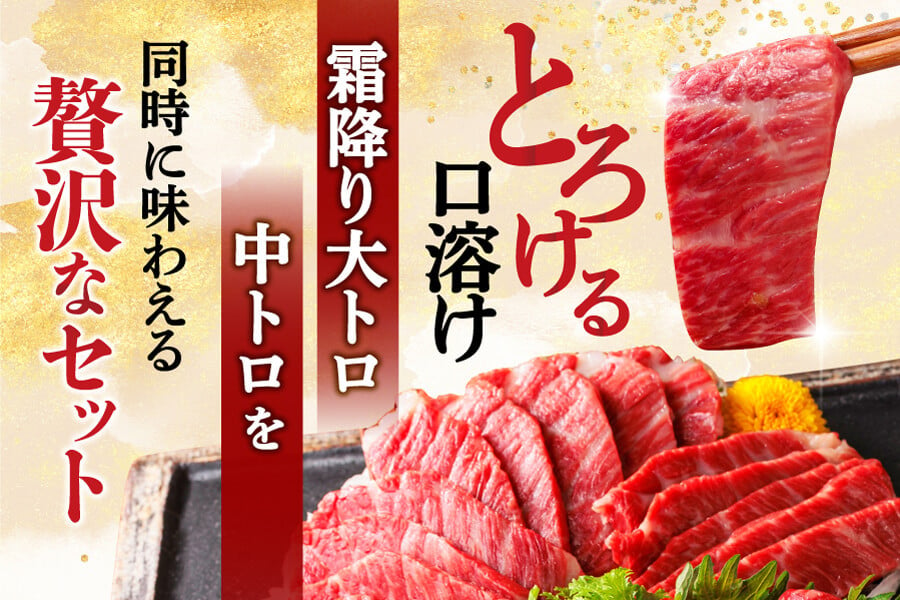 【国産】熊本 馬刺し とろっとろセット 中トロ 大トロ 食べ比べ 計350g