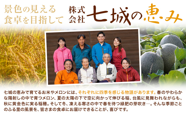 つるたファームの朝採り肥後グリーンメロン 2玉セット《5月上旬-5月下旬頃出荷》 フルーツ くだもの 果物 メロン グリーンメロン 肥後グリーンメロン 