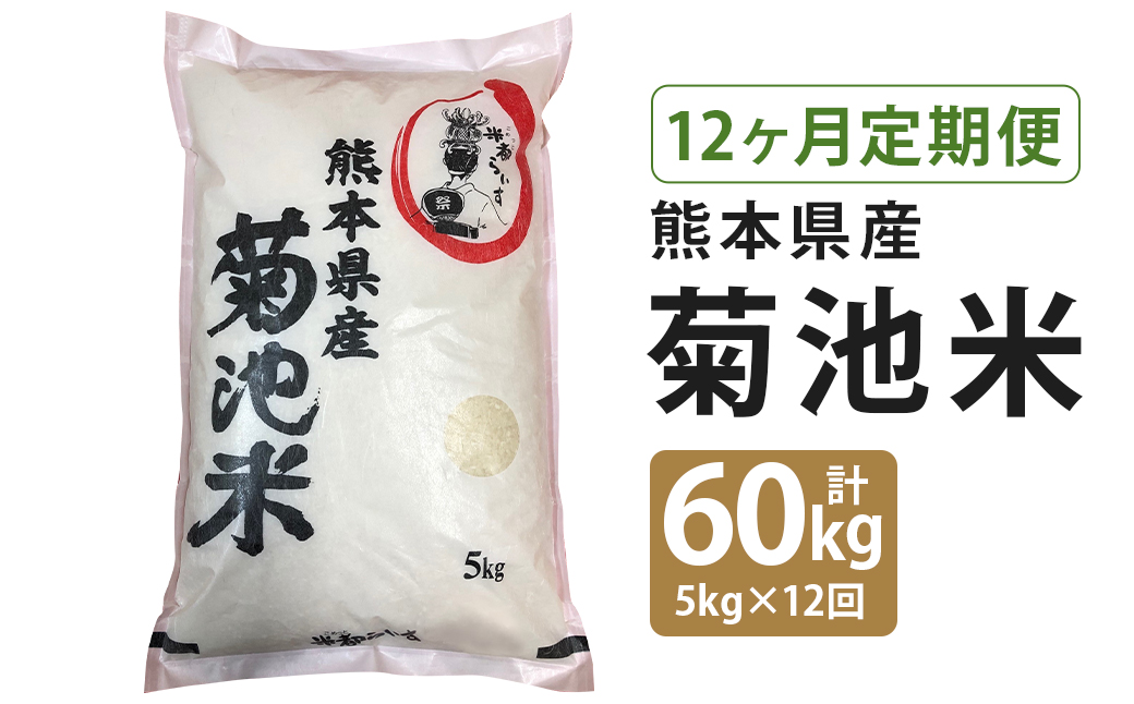【定期便12回】菊池米 合計60kg(毎月5kg×1袋) 令和5年産