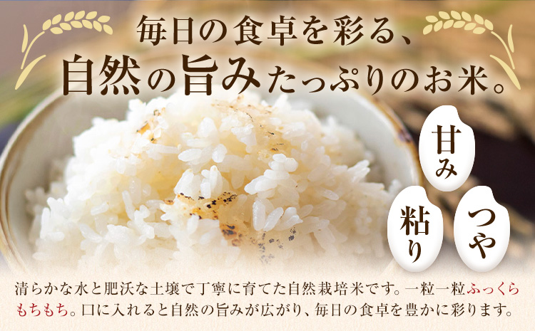 令和7年産 高野さんちの自然栽培米 白米 10kg《真空パック》 株式会社有機農場《30日以内に出荷予定(土日祝除く)》熊本県 菊池市 米 お米 ヒノヒカリ ひのひかり 自然栽培米 七城物語 熊本県産