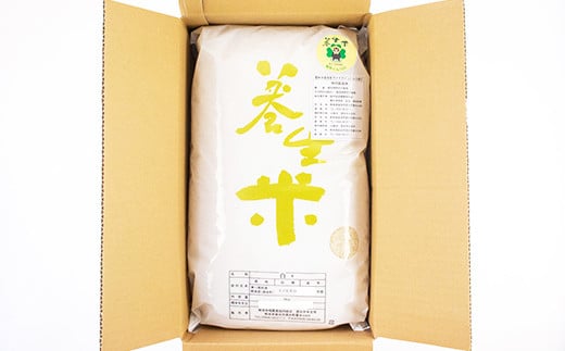 養生米 白米 合計10kg（5kg×2袋）お米 米 精米 ヒノヒカリ【養生市場】