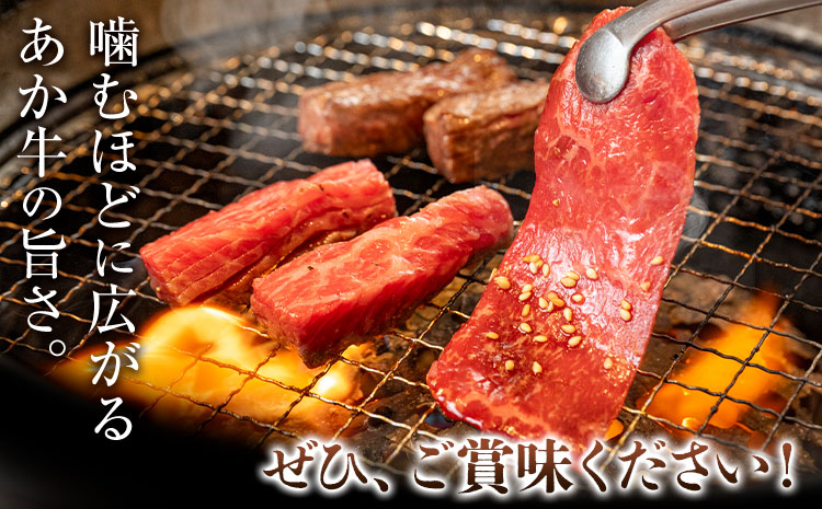 くまもとあか牛 カルビ ロース セット 約500g 有限会社草佳苑《30日以内に出荷予定(土日祝除く)》熊本県 菊池市 肉 牛肉 お肉 和牛 あか牛 焼肉 バーベキュー BBQ 熊本県産 冷凍 送料無料