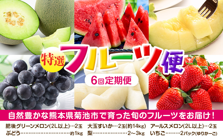 【定期便6回】特選 フルーツ 便 ( メロン すいか ぶどう 梨 いちご ) スイカ 葡萄 ブドウ ナシ なし 苺 イチゴ 果物 くだもの セット 詰合せ 定期便【メロンドーム】《お申込み翌月から出荷》