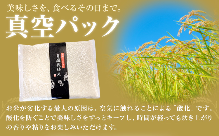【3ヶ月定期便】令和7年産 高野さんちの自然栽培米 白米 計15kg(2.5kg×2袋/月×3回)《真空パック》株式会社有機農場《お申し込み月の翌月から出荷開始》熊本県 菊池市 米 お米 ヒノヒカリ ひのひかり 自然栽培米 七城物語 熊本県産