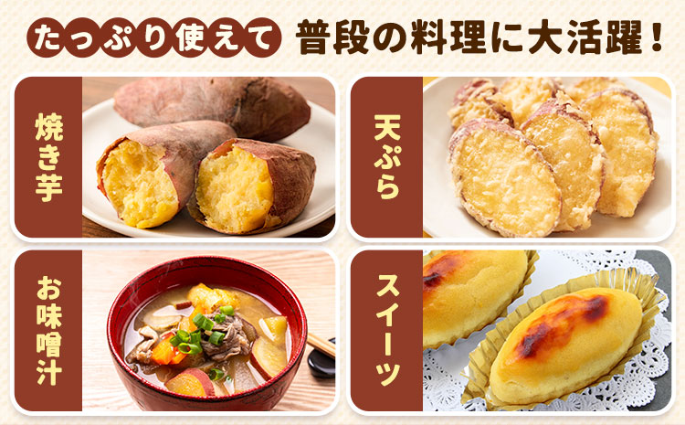 【先行予約】訳あり さつまいも 約5kg 日本フルーツ株式会社《2026年10月上旬-11月中旬頃出荷》熊本県 菊池市 さつまいも サツマイモ 訳あり 熊本県産