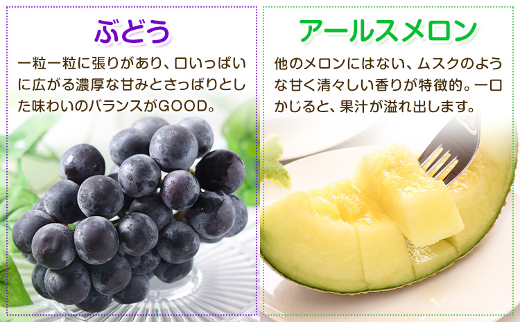 【定期便6回】特選 フルーツ 便 ( メロン すいか ぶどう 梨 いちご ) スイカ 葡萄 ブドウ ナシ なし 苺 イチゴ 果物 くだもの セット 詰合せ 定期便【メロンドーム】《お申込み翌月から出荷》