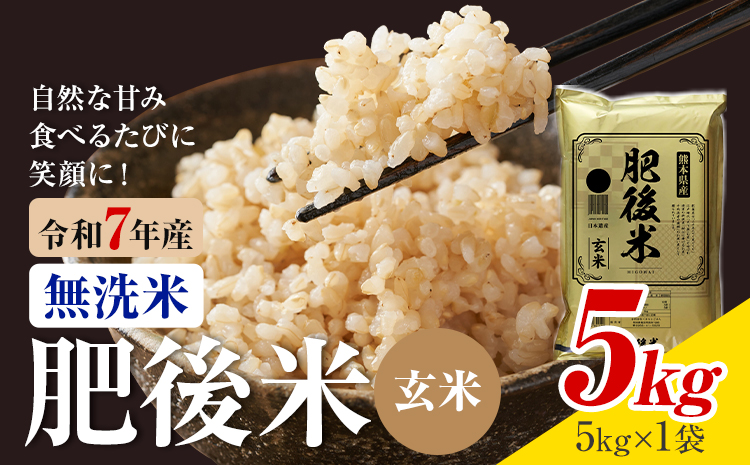 熊本県産 肥後米 無洗米 玄米 5kg 1袋5kg 米 お米 令和7年産 九州産 熊本県産 ブレンド米 送料無料《30日以内に出荷予定（土日祝除く）》玄米 無洗米 米