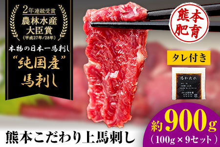 上赤身馬刺し100g×9セット(10ml×9袋)《3-7日以内に出荷予定(土日祝除く)》 熊本県 菊池市 馬刺し 国産 赤身 送料無料 肉 タレ付き 900g 牛肉よりヘルシー