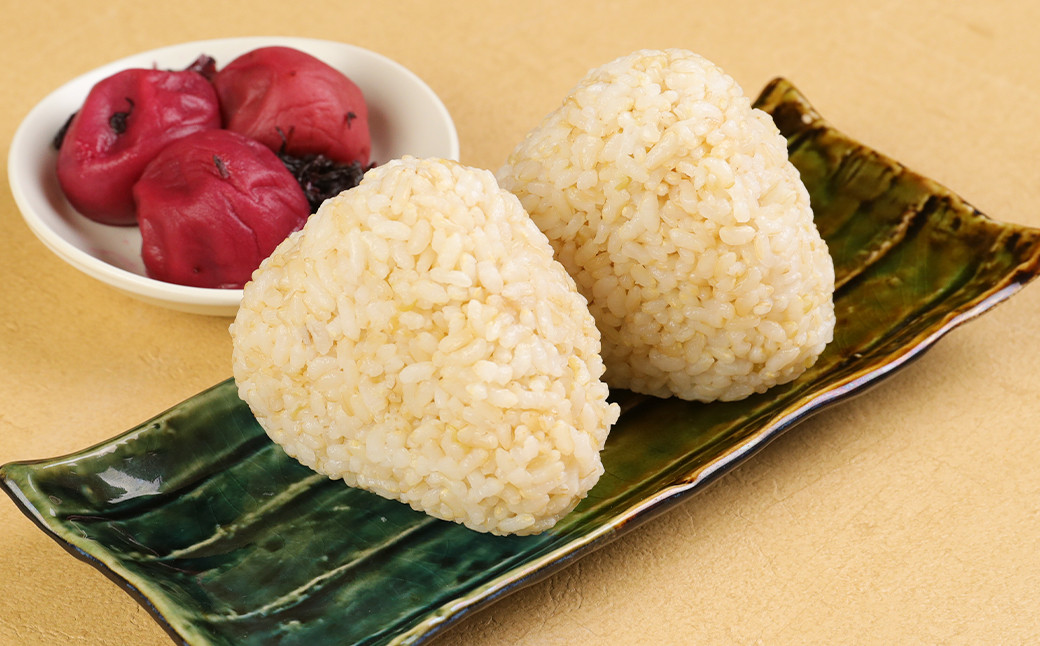 熊本県菊池産 ヒノヒカリ 5kg 5分づき米 お米 分づき米 令和5年産