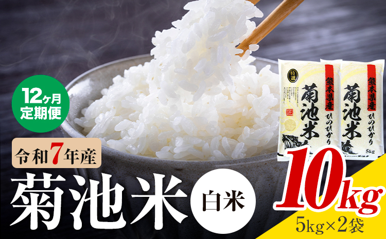 【12ヶ月定期便】熊本県産 菊池米 白米 10kg 1袋5kg 米 お米 令和7年産 九州産 熊本県産 送料無料《お申込み翌月に出荷予定》 白米 米