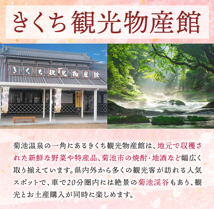 松風 桐箱入り 16 包 有限会社きくち観光物産館《90日以内に出荷予定(土日祝除く)》 熊本県 菊池市 和菓子 お菓子 松風 焼き菓子 伝統銘菓 ギフト 贈りもの 送料無料