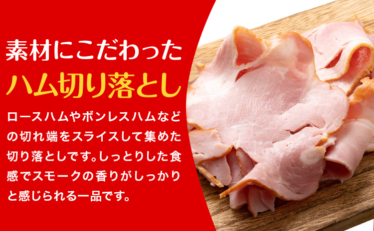 ハム 切り落とし 2.4kg 有限会社ハム工房TONGTONG《90日以内に出荷予定(土日祝除く)》熊本県 菊池市 小分け ハム ロースハム ボンレスハム おかず おつまみ
