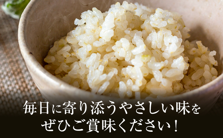 米 ヒノヒカリ 5分づき 10kg 内容量 1袋 5kg 合同会社くまもとごはん 《30日以内に出荷予定(土日祝除く)》 熊本県 菊池市 お米 分づき米 九州産 熊本県産 白米 無洗米 ひのひかり 送料無料