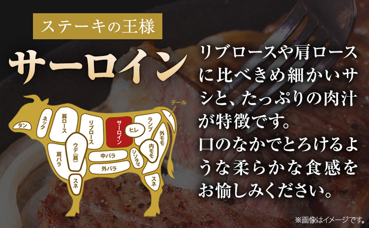 くまもと黒毛和牛 サーロインステーキ 1000g (250g x 4枚) 牛肉 冷凍 《7-14日以内に出荷予定(土日祝除く)》 くまもと黒毛和牛 黒毛和牛 冷凍庫 個別 取分け 小分け 個包装 ステーキ肉 にも サーロインステーキ