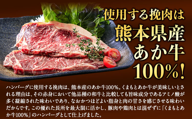 熊本県産あか牛100%生ハンバーグ 140g×13個入り 合計1820g 1.82kg以上熊本県産あか牛 冷凍《30日以内に出荷予定(土日祝除く)》