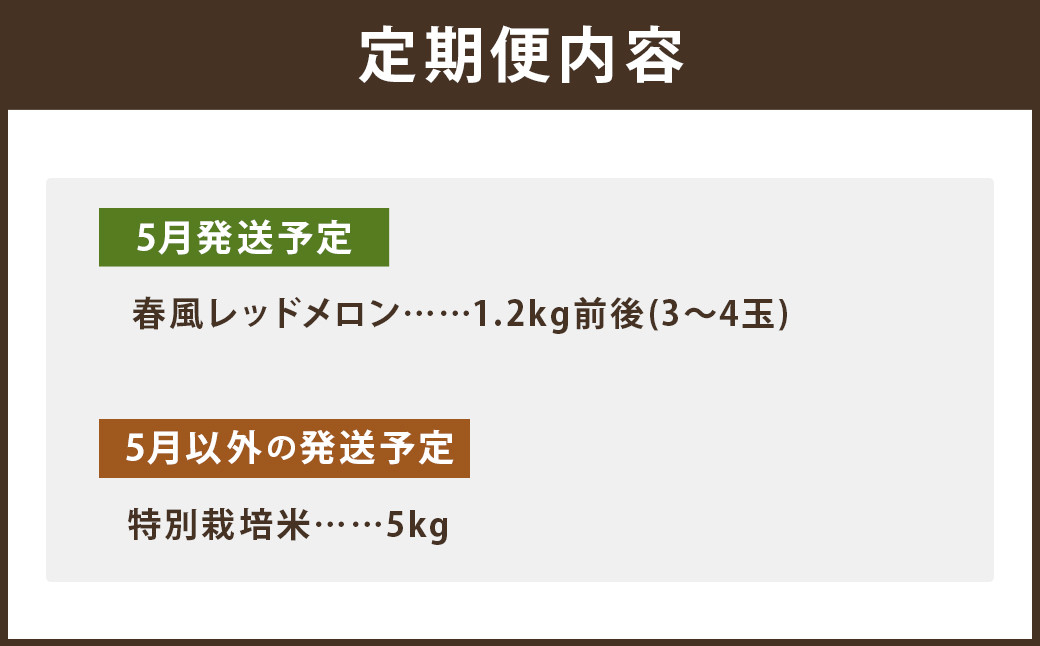 【6回定期便】つるたファームまるごと定期便 Red （特別栽培米 5kg・春風レッドメロン 1.2kg前後） メロン レッドメロン フルーツ くだもの 果物 お米 米 白米  精米 ヒノヒカリ ご飯