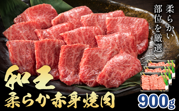 熊本県産A5等級和王 柔らか赤身焼肉 900g 帝神志方ミート株式会社《90日以内に出荷予定(土日祝除く)》熊本県 菊池市 牛肉 肉 お肉 和牛 くまもと黒毛和牛 熊本県産 A5 和王 赤身 赤身肉 柔らか 厳選 焼肉