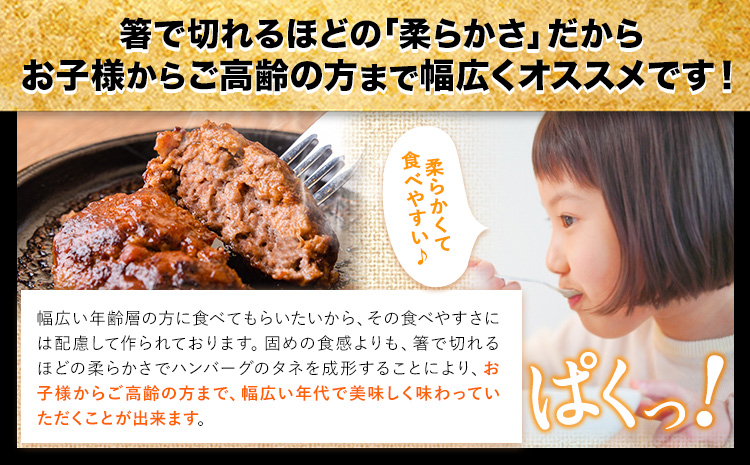 ステーキマニア監修 熊本県産あか牛100%生ハンバーグ 140g×13個入り 合計1820g 1.82kg以上熊本県産あか牛 冷凍《2026年1月中旬-3月末頃出荷》