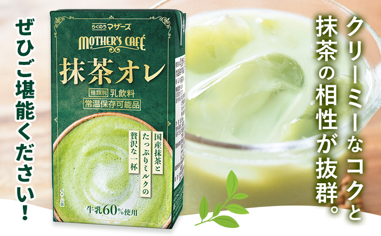 抹茶・オ・レ 【1回】250ml×24本 選べる 内容量 合同会社たべたせいか《30日以内に出荷予定(土日祝除く)》 抹茶オーレ 抹茶オレ 抹茶ミルク 抹茶 抹茶 乳製品 乳飲料 クロレラ 飲み物 飲料 常温保存 お取り寄せ 国産抹茶 熊本県産 菊池市 送料無料