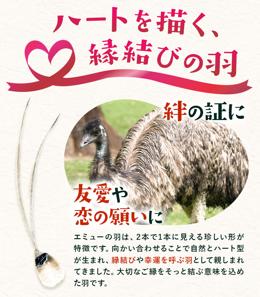 エミューの羽 お守り 全長約18cmエミューの卵の殻入り 熊本県菊池エミュー観光牧場株式会社 《30日以内に出荷予定(土日祝除く)》 熊本県 菊池市 エミュー 縁結び 幸運の羽 羽根 御守り 羽