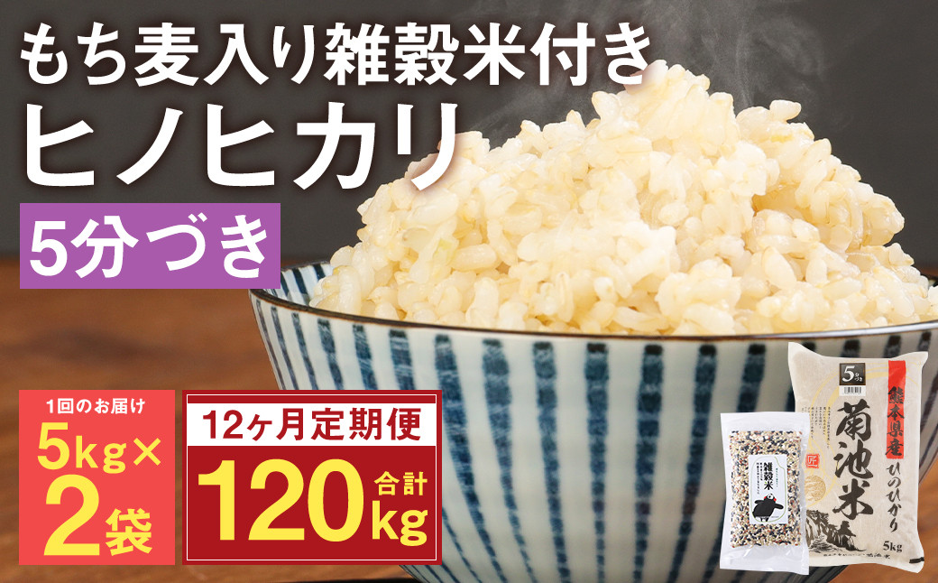 【定期便12ヵ月】熊本県菊池産 ヒノヒカリ 5分づき米 5kg×2袋 もち麦入り雑穀米 200g×2袋 計124.8kg