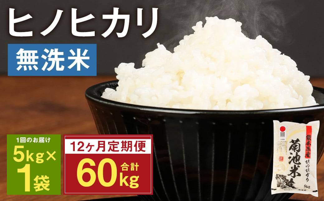 【定期便12ヶ月】熊本県菊池産 ヒノヒカリ 無洗米 計60kg（5kg×12回）精米 お米 米 白米
