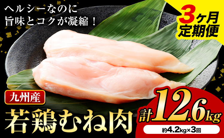 【3ヶ月定期便】九州産若鶏ムネ肉 600g×7袋×3回 計12.6kg 鶏肉 お肉 ムネ肉 むね肉 小分け 冷凍 九州産 国産 熊本県 菊池市 送料無料《お申込み翌月から出荷》