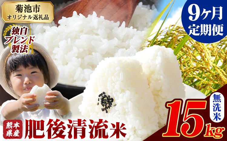 【9ヶ月定期便】熊本県産 肥後清流米 無洗米 15kg 熊本県産 ふるさと納税《お申込み月の翌月から出荷開始》 精米 米 こめ ふるさとのうぜい コメ お米 おこめ
